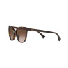 Ladies' Sunglasses Ralph Lauren RA 5282U