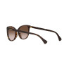 Ladies' Sunglasses Ralph Lauren RA 5282U