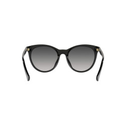 Ladies' Sunglasses Ralph Lauren RA 5294U