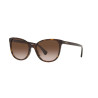 Ladies' Sunglasses Ralph Lauren RA 5282U