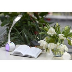 Desk lamp Activejet AJE-RAINBOW RGB White 80 Plastic 6 W 230 V