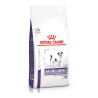 Fodder Royal Canin  Mature Consult Small Dogs Senior 3,5 g