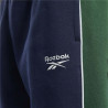 Long Sports Trousers Reebok Classics Linear Men Navy Blue