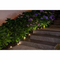 Wreath of LED Lights Galix Solar 100 Lm