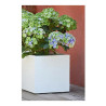 Plant pot EDA White Plastic 5 cm