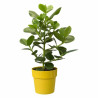 Plant pot Elho Ocre Ø 30 cm