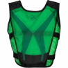 Lifejacket Waimea SR052ZEGRO Green