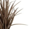 Decorative Plant PVC Steel Cement 10 x 10 x 9 cm 61 cm