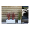 Plant pot EDA White Plastic 5 cm