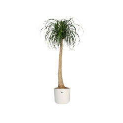 Plant pot Elho White Green Plastic 30 x 30 x 28 cm