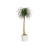 Plant pot Elho White Green Plastic 30 x 30 x 28 cm