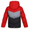 Children's Sports Jacket Regatta Lofthouse VI Red With hood