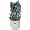 Plant pot Elgato White Ø 30 cm Plastic Circular Modern