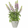 Plant pot Elho   Circular White Plastic Ø 40 cm