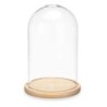 Decorative Figure Dome 15 x 25 x 15 cm Transparent Natural