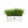 Planter Elho   White 50 cm Plastic