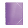 Organiser Folder Oxford Multicolour A4 10 Pieces