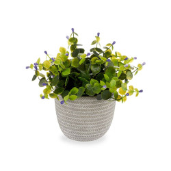 Decorative Plant Flowers Plastic 21 x 20,6 x 21 cm (8 Units)