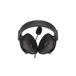 Headphones with Microphone Endorfy EY1A003 Black