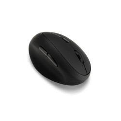 Mouse Kensington K79810WW             Black