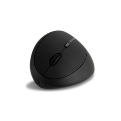 Mouse Kensington K79810WW             Black