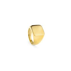 Men's Ring Radiant RH000027-24 24