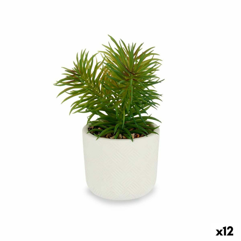 Decorative Plant White Green (14 x 20 x 14 cm) (12 Units)