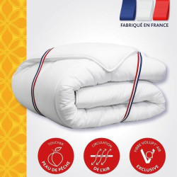 Duvet DODO DOUCES FOLIES White 300 g/m² 220 x 240 cm