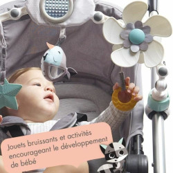 Activity Arch for Babies Tiny Love