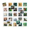 Educational Game Diset Memo Photo Animales 54 Pieces