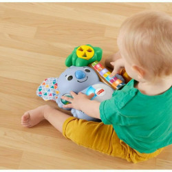 Interactive Pet Fisher Price Noah the Koala