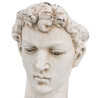 Sculpture David 28 x 22 x 33 cm Resin