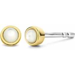 Ladies' Earrings Ti Sento 7874MW