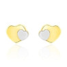 Ladies' Earrings Stroili 14009112