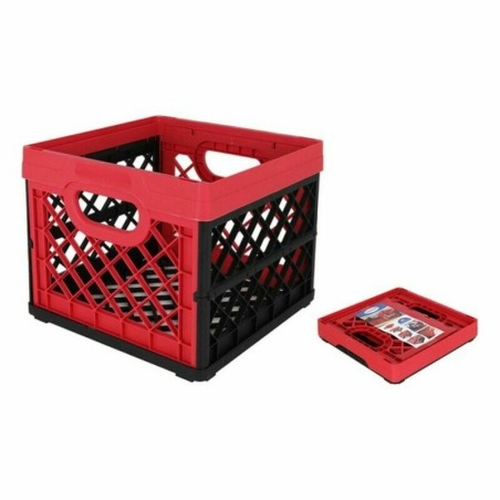 Multi-use Box Tontarelli Foldable Plastic (33,5 x 33 x 27,9 cm)