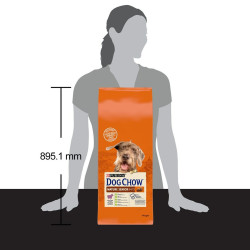 Fodder Purina Dog Chow Mature Senior Senior Lamb 14 Kg