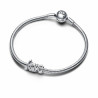 Woman's charm link Pandora 793055C00