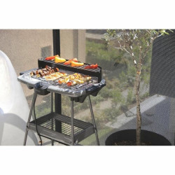 Electric Barbecue Livoo Dom297g 2000 W