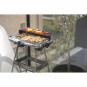 Electric Barbecue Livoo Dom297g 2000 W