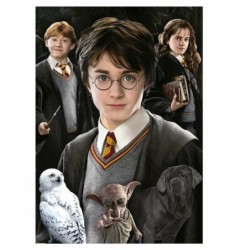 Puzzle Harry Potter 1000 Pieces