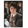 Puzzle Harry Potter 1000 Pieces