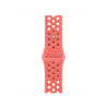 Watch Strap Watch 41 Apple MUUY3ZM/A M/L