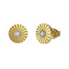 Ladies' Earrings Guess JUBE02166JWYGT-U