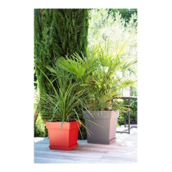 Plant pot EDA Tuscan Taupe Plastic Squared Ø 50 cm (49,5 x 49,5 x 52,5 cm)