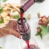 Wine Aerator with Filter, Stand and Carry Pouch Wineir InnovaGoods