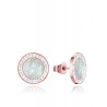 Ladies' Earrings Viceroy 75073E01012