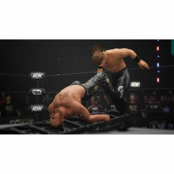 Video game for Switch THQ Nordic AEW All Elite Wrestling Fight Forever