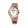 Ladies' Watch Folli Follie WF16R014BPS (Ø 28 mm)