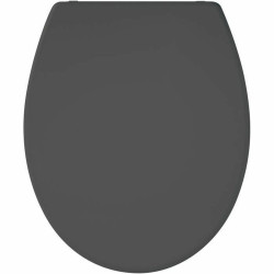 Toilet Seat Gelco Dark grey Silver