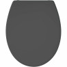 Toilet Seat Gelco Dark grey Silver